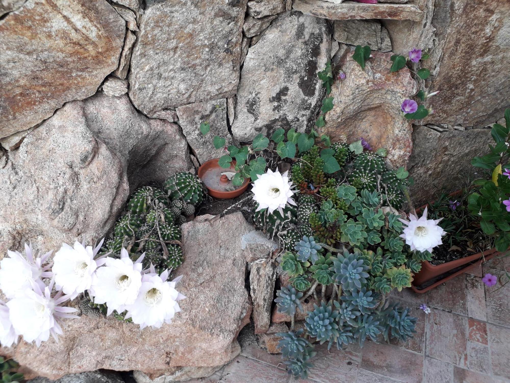 Exclusive House Villa Cala Gonone Exterior foto